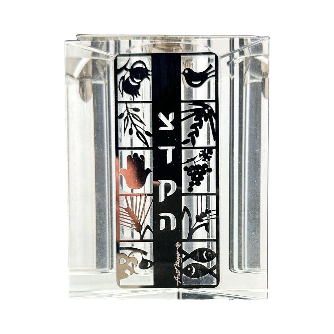 Crystal Tzedaka Box