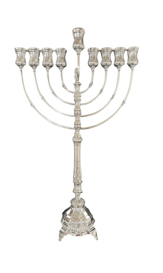 Anipoli Chasing Menorah